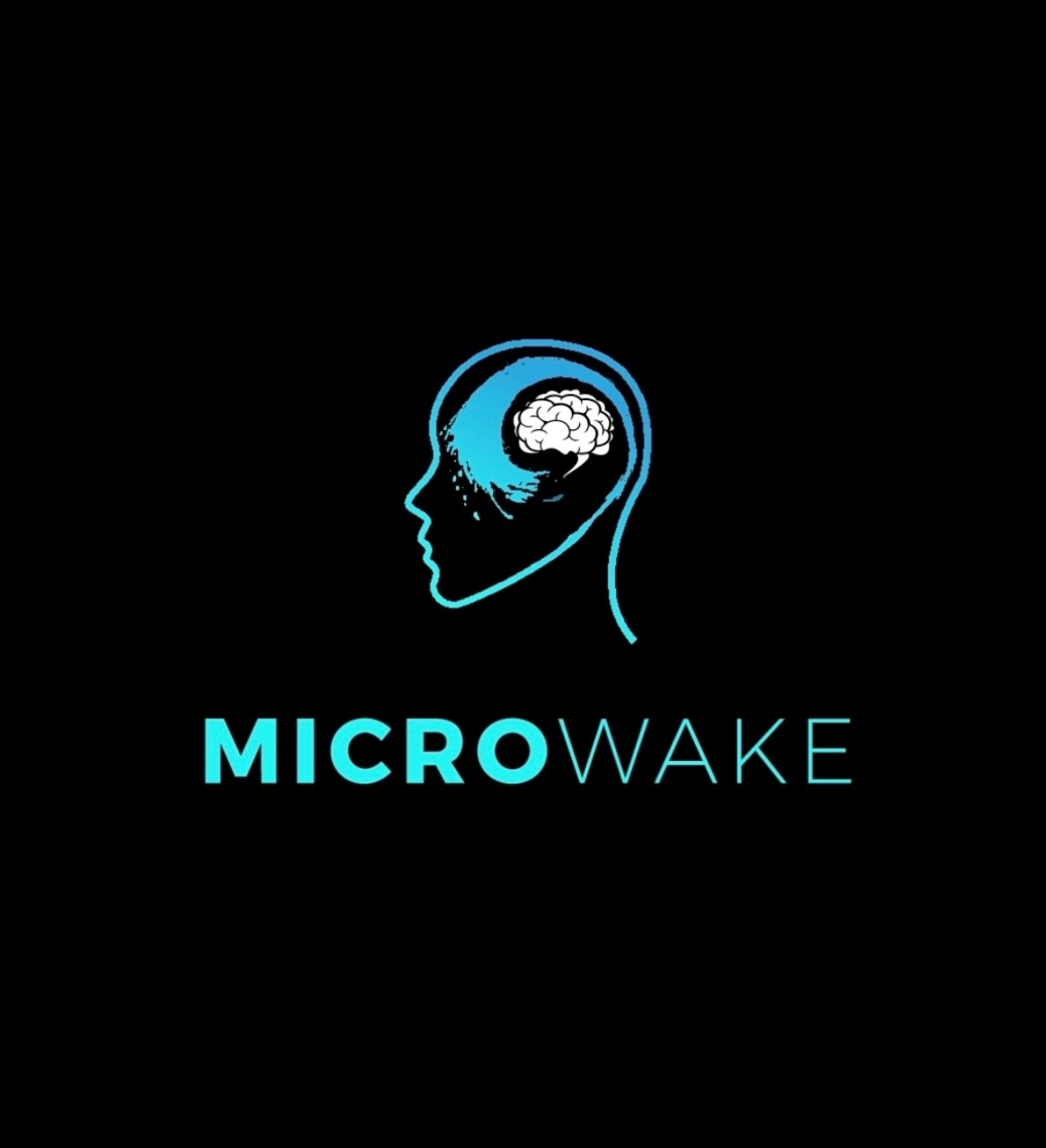 microwake logo